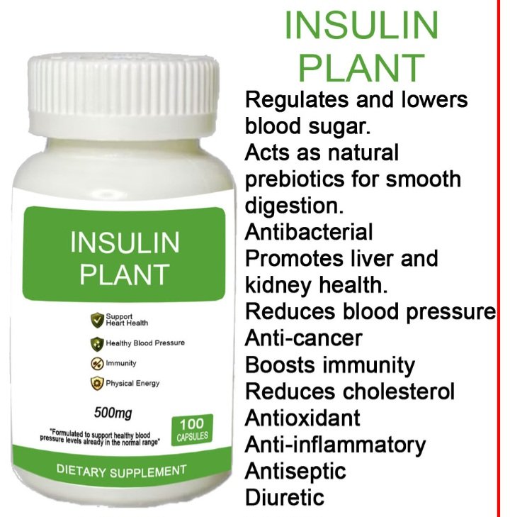 Insulin Plant (30C) 1PV